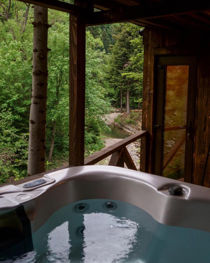 Novosiele Residence - Nad Gorska Rzeka - Lesne Spa Sauna Jacuzzi - Bieszczady Bystre  Εξωτερικό φωτογραφία