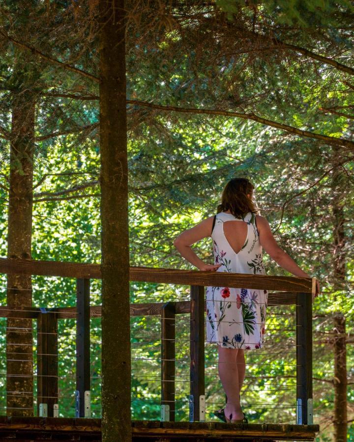 Novosiele Residence - Nad Gorska Rzeka - Lesne Spa Sauna Jacuzzi - Bieszczady Bystre  Εξωτερικό φωτογραφία