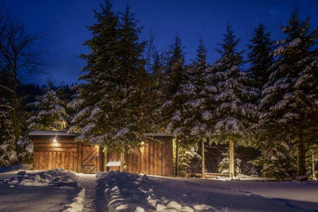 Novosiele Residence - Nad Gorska Rzeka - Lesne Spa Sauna Jacuzzi - Bieszczady Bystre  Εξωτερικό φωτογραφία